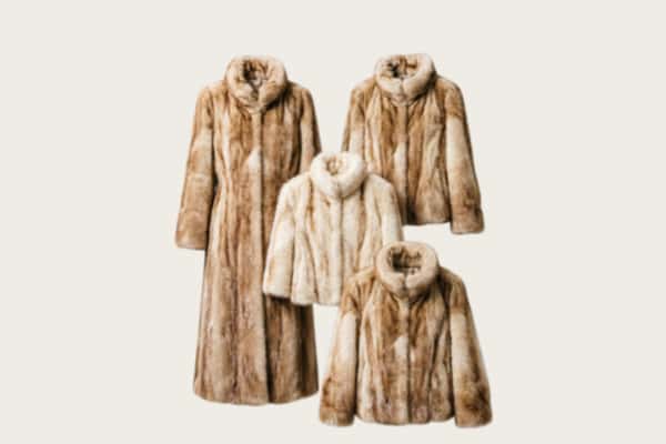 合阳县回收皮草衣服